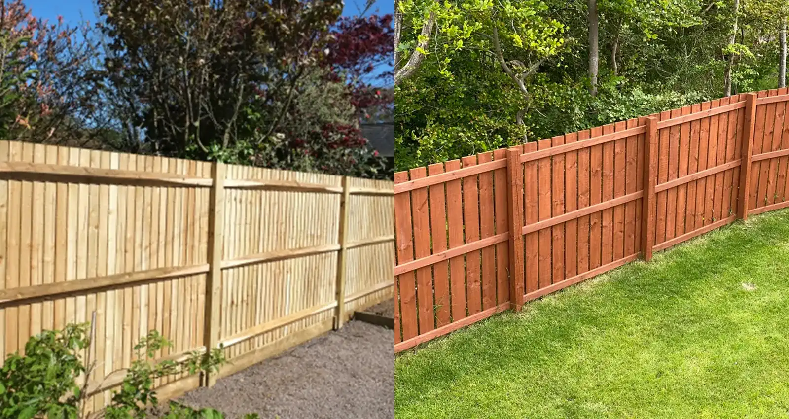 Side-by-side comparison of a pressure-treated wood fence and a cedar wood fence